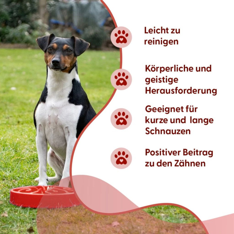 Anti-Schling Napf Gr. S blau