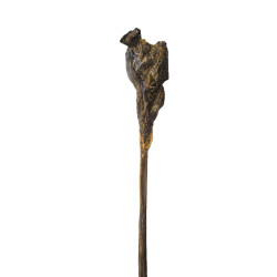 Ochsenziemer mit Fleischkopf