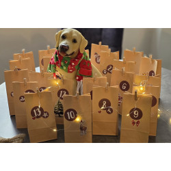 Adventskalender für 1 Hund...