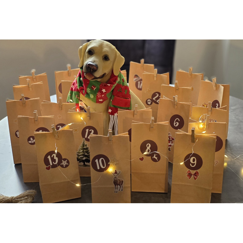 Adventskalender für 1 Hund - begrenzte Anzahl