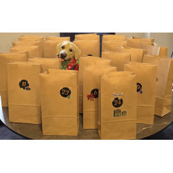Adventskalender für 3 Hunde - begrenzte Anzahl